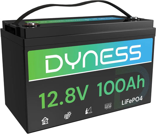 Dyness 12V 100Ah LiFePO4 Lithium Battery for RV, Solar System and Off-Grid, Bluetooth Connectivity