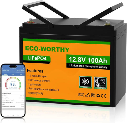 ECO-WORTHY 12V 100AH LiFePO4 Lithium Battery with Bluetooth, Max.1280Wh Energy, Low Temperature Protection, Group 24, Built-in 100A BMS, RV, Boat
